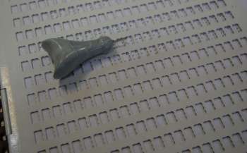 У Запоріжжі стартував проєкт зі створення безпечного інклюзивного освітнього простору У Запоріжжі стартував проєкт зі створення безпечного інклюзивного освітнього простору