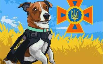 Третій епізод про мінну безпеку з псом Патроном вже доступний для перегляду Третій епізод про мінну безпеку з псом Патроном вже доступний для перегляду