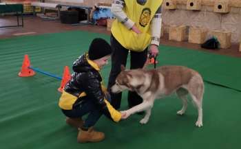 Відбувся сеанс каністерапії в рамках програми Наближаємо Перемогу разом