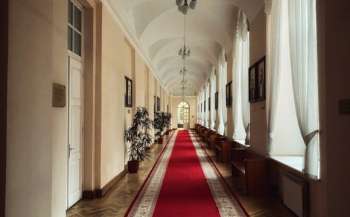 Вступ-2023: ректор університету Шевченка назвав найбільш популярні спеціальності