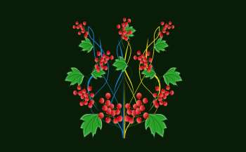 Мовний омбудсмен з початку року отримав 3015 скарг про порушення мовного закону 