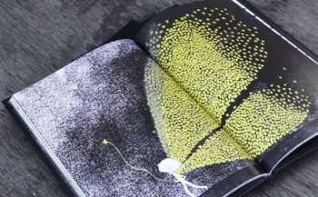 Україна представить стенд на Болонському ярмарку дитячої книги