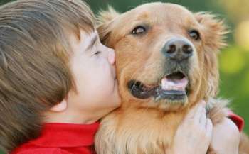 Запрошуємо до участі у Всеукраїнському конкурсі дитячої творчості до Всесвітнього дня домашніх тварин Мій домашній улюбленець