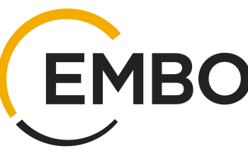 Українські науковці можуть отримати гранти солідарності від EMBO
