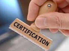 Стартує реєстрація вчителів початкових класів для проходження сертифікації
