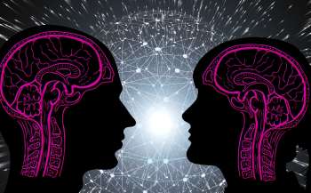 Дослідження показало відмінності між мозками людей, які мають різні рідні мови