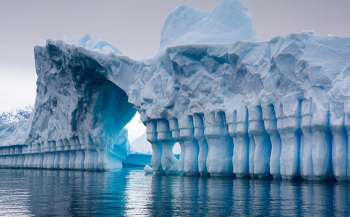 Итоги подачи заявок в Антарктическую экспедицию