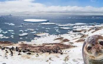 Завтра розпочнуться “Антарктичні уроки” для школярів